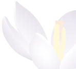 Naturheilpraxis Dorette Dietrich